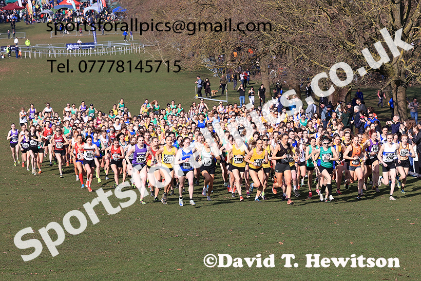 Senior womens 2025 UK CAU Inter Counties Cross Country Champs., Wollaton Park, Nottingham. Photo: David T. Hewitson/Sports for All Pics